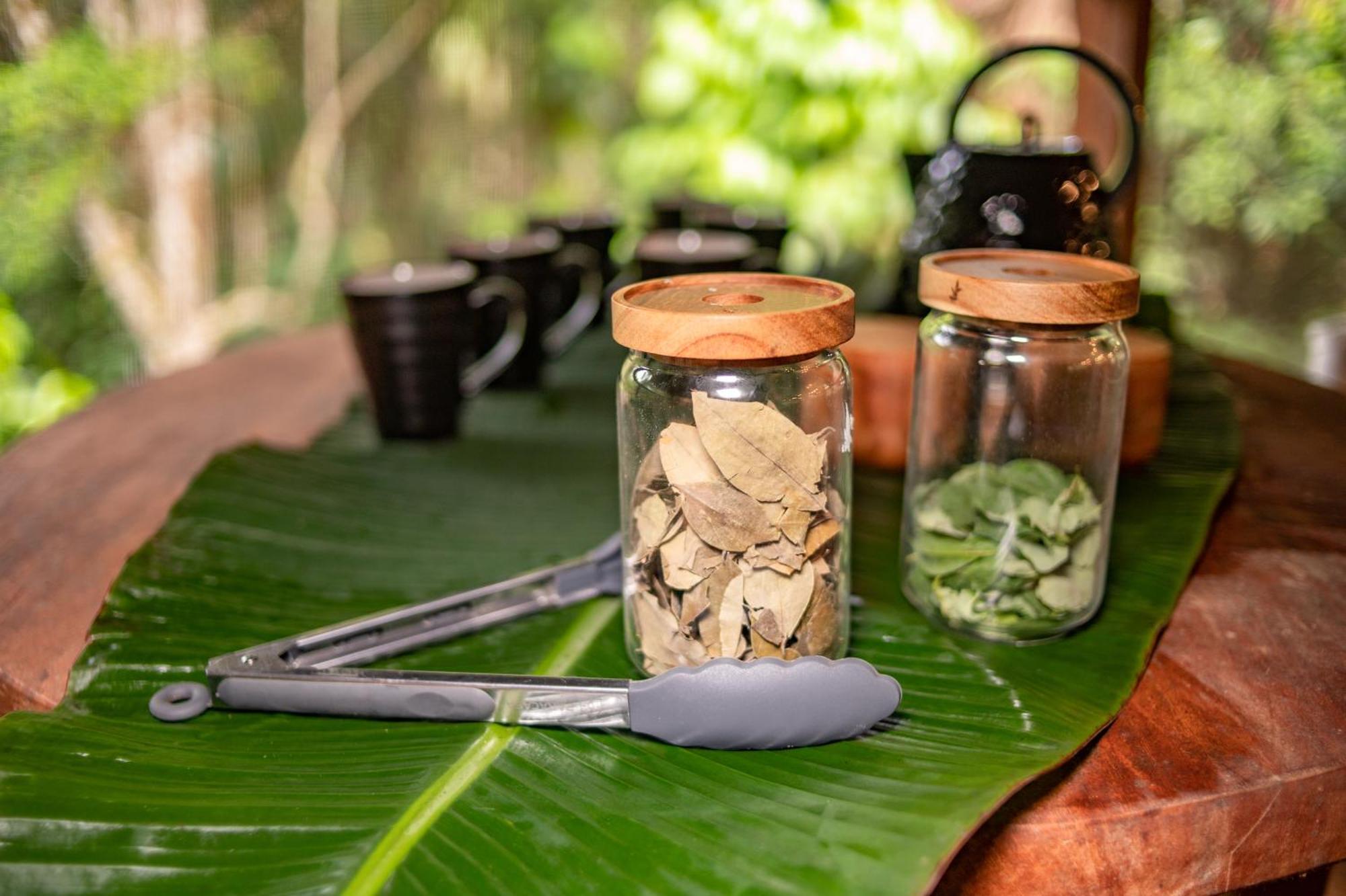 Awaken Amazonian Healing Resort All Inclusive 이키토스 외부 사진