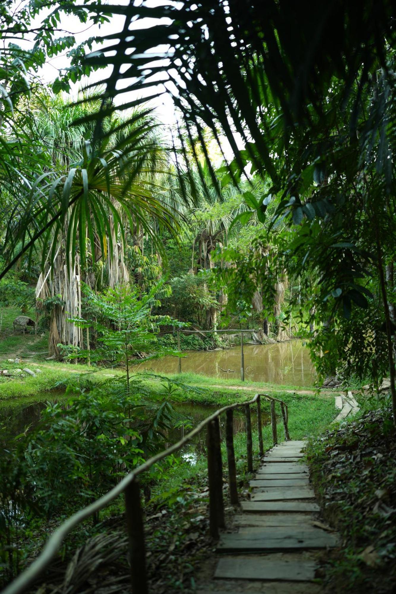 Awaken Amazonian Healing Resort All Inclusive 이키토스 외부 사진